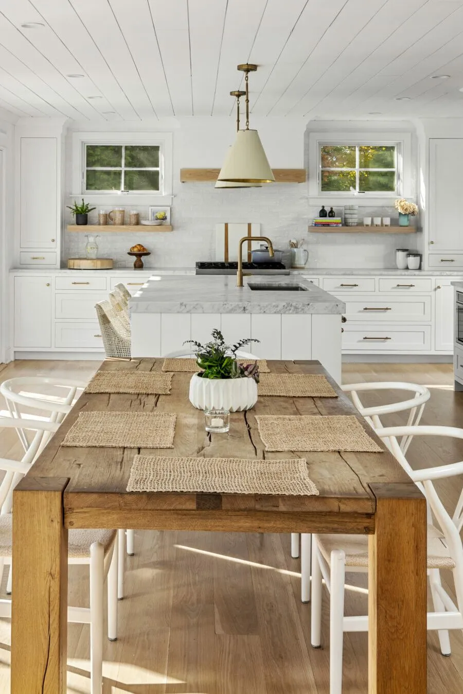 Rosa-33 Shrewsbury-10